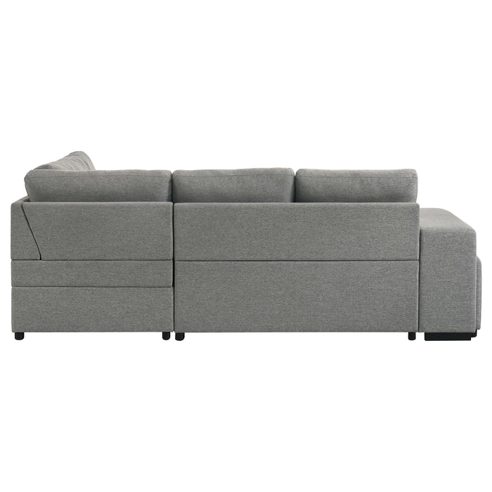Roanne Pull-Out Sleeper Sectional Sofa
