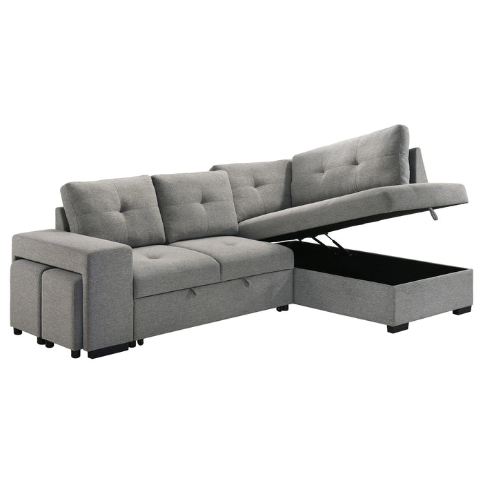 Roanne Pull-Out Sleeper Sectional Sofa