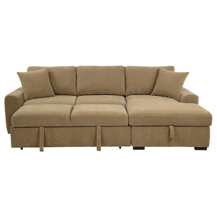 Pastrana Pull-Out Sleeper Sectional Sofa
